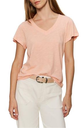 Sanctuary V-Neck T-Shirt in Washed Salmon Pink at Nordstrom, Size Xx-Large P