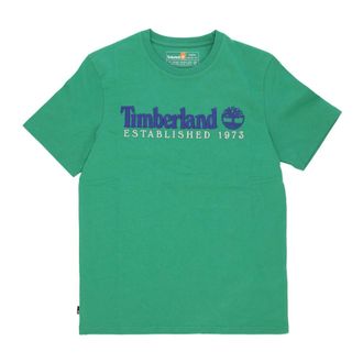 Timberland T-Shirts, female, Green, Size: M Vintage Est 1973 Celtic Green Tee