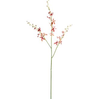 Napa Home & Garden 38 Orange Orchid Artificial Stem in White at Nordstrom