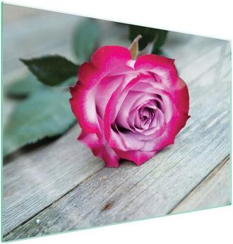 OEM Placa Protectora De Vidrio Para Estufa 70x52 Rosa