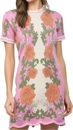 Fate Delaney Dress In Pink