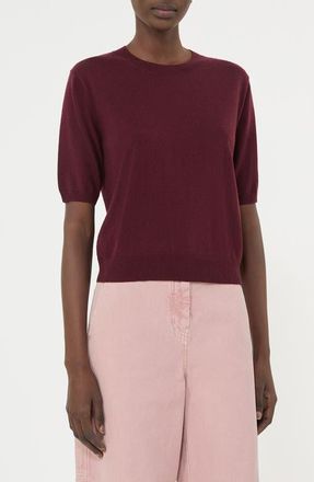 Max Mara Marea Wool & Cashmere Short Sleeve Sweater in Bordeaux at Nordstrom, Size X-Small
