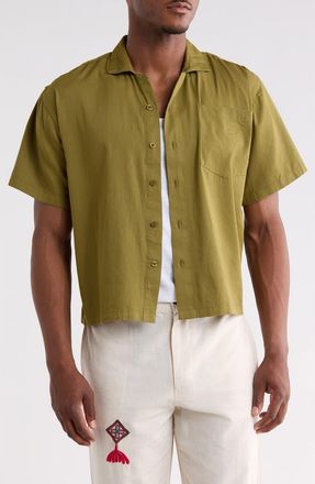 Raga Short Sleeve Cotton Button-Up Shirt in Olive at Nordstrom Rack, Size Xx-Large