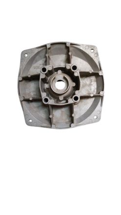 Generico Tapa Trasera Bomba Compatible Con Os20, Qgz50, Gaet50