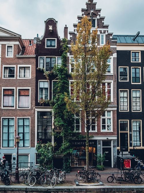 A view of row houses and trees.