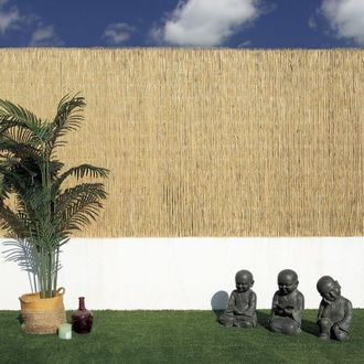 Nortene Ca&ntilde;izo Bamb&uacute; Pelado Multivarilla Reed Multi Nortene 2x5 M