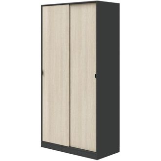 Dmora Armario 2 Puertas Orgosolo, Ropero Dormitorio 4 Estantes, 50x200h cm Gris Antracita