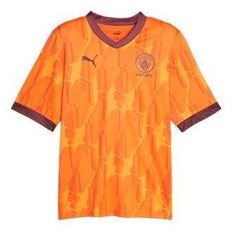 Puma Manchester City Esports Jersey Orange 772842-09