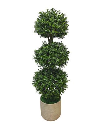 Creative Displays Inc. Green Boxwood Topiary In Fiberstone Planter