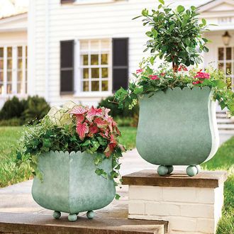 Ballard Designs Scallop Planter - Verdigris Large - Ballard Designs