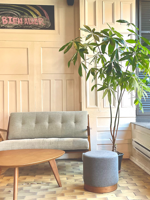 Ein hellblaues Vintagesofa mit einem hölzernen Sofatisch und einer großen Zimmerpflanze.