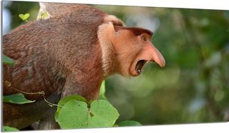 OEM Placa Protectora De Vidrio Para Estufa 90x52 Nosacz