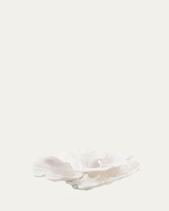 John-Richard Foliose Coral