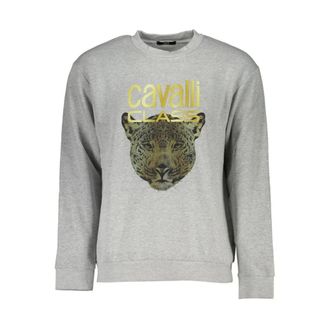 Cavalli Uomo, Felpe, Grigio, M, new