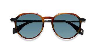 Etnia Barcelona Amboy Polarized HVBK Mens Sunglasses Tortoiseshell Size 52