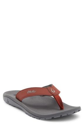 Olukai Ohana Flip Flop in Canoe /Rock at Nordstrom, Size 14