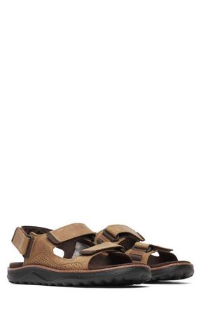 Merrell Cover Quarter Strap Sandal in Coffee at Nordstrom, Size 10