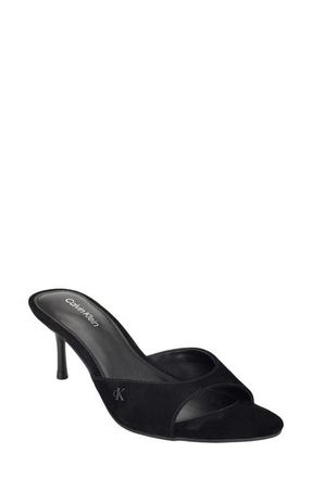 Calvin Klein Vixie Slide Sandal in Black at Nordstrom, Size 7.5