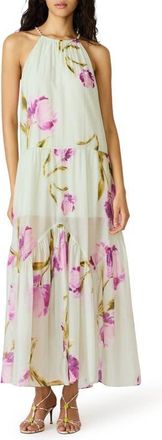 Steve Madden Jamie Floral Print Maxi Dress in English Rose at Nordstrom, Size Xx-Large