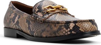 Aldo Edouard Bit Loafer in Brown Multi at Nordstrom, Size 10.5