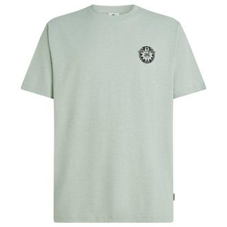 O'Neill Slub Back Print T-Shirt T-Shirt f&uuml;r Herren | grau