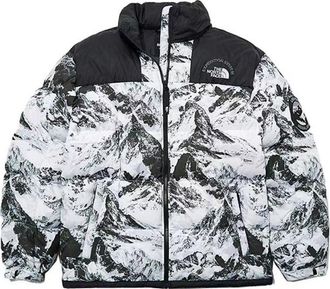 The North Face FW22 DOWN Jacket NJ1DN57A