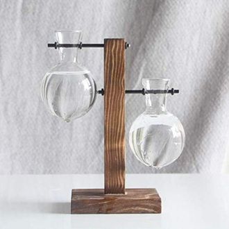OEM Marco De Madera Creativo, Pi&ntilde;a Hidrop&oacute;nica, Vegetaci&oacute;n, Jarr&oacute;n De Cristal Transparente Con Estampado Floral, Decoraci&oacute;n De Oficina, Decoraci&oacute;n Del Hog