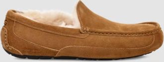 UGG Mens Ascot Slipper In Chestnut