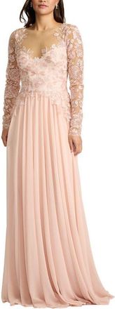 Tadashi Shoji Illusion Lace Embroidered Sleeve Gown in Pale Pink at Nordstrom, Size 14