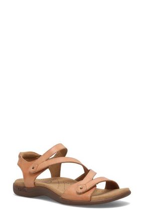 Taos Big Time Ankle Strap Sandal in Natural at Nordstrom, Size 11