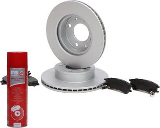 OEM Juego De Discos Y Pastillas De Freno Trasero 201801381