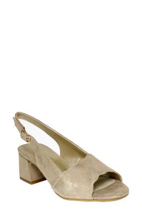 David Tate Dale Slingback Sandal in Taupe Suede at Nordstrom, Size 10.5