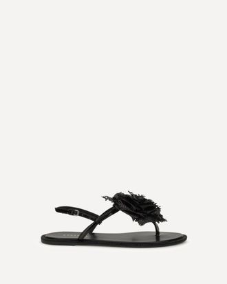 Le Silla Sandali Rose Woman 38.5