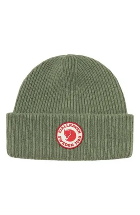 Fj&auml;llr&auml;ven 1960 Logo Beanie in Caper Green at Nordstrom