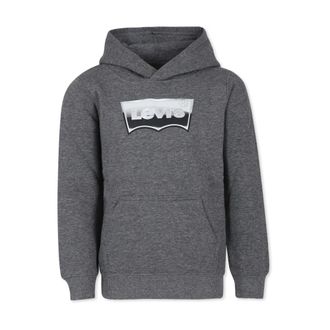 Levi's Kids Sweatshirts, male, Gray, 6 Y, Hoodie
