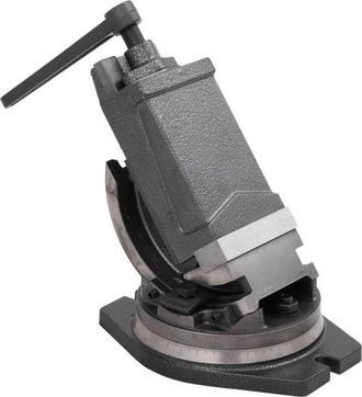 vidaXL Tornillo De Banco Basculante De 2 Ejes 100 Mm Vidaxl