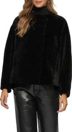 Gorski Textured Genuine Shearling Jacket in Black at Nordstrom, Size X-Large