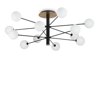 Netlighting Cosmopolitan 12 Arm Multi Arm Semi Flush Ceiling Light Black