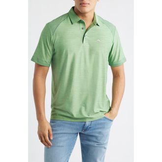 Tommy Bahama Palm Coast Pro Solid Polo in Elm Green at Nordstrom, Size Xxx-Large
