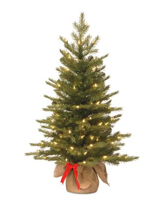 National Tree Company 3Ft Feel-Real(R) Nordic Spruce Tree In Burlap Base With 50 Warm White Battery Operated Led Lights With Tim