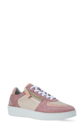 Naot Newbury Sneaker in Peach Peony Multi at Nordstrom, Size 10Us