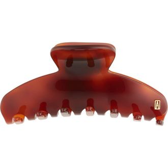 Alexandre de Paris Medium Hair Clip in Tortoise at Nordstrom