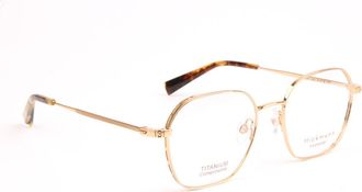 Ana Hickmann Optical Frame HI1218T 05A 51 Titanium