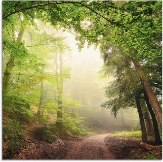 Artland Glasbild »Natürliche Torbögen durch Bäume« Wald 1 Stk. tlg. in verschiedenen Grössen