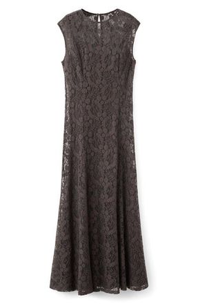 Mango Avenue Lace Midi Dress in Brown at Nordstrom, Size 6