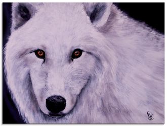 Artland Glasbild »Weisser Wolf« Wildtiere 1 Stk. tlg. in verschiedenen Grössen