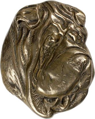 OEM Shar Pei - Placa Conmemorativa Con Perro, Agradecimiento Personalizado, Premio, Diploma Con Dedicatoria De La Marca Art-dog