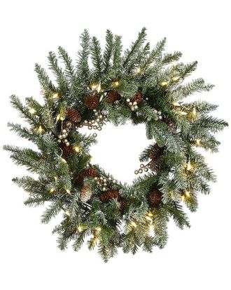 National Tree Company 24In Snowy Morgan Spruce Wreath With Twinkly Led Lights