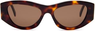 Celine CL40308U 53E Womens Sunglasses Brown Size 55