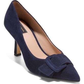 Cole Haan Fidela Pointed Toe Pump in Midnight Moon Suede at Nordstrom, Size 7.5